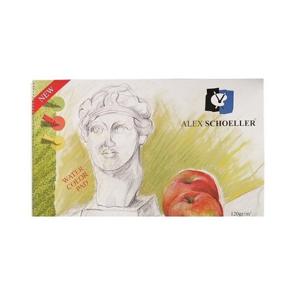 Alex Schoeller ALX-0816 25x35 40 Yaprak 120 gr Spiralli Resim Defteri