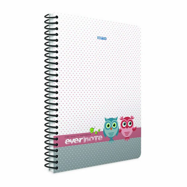 Gıpta Evernote A6 80 Yaprak Çizgili Spiralli Defter