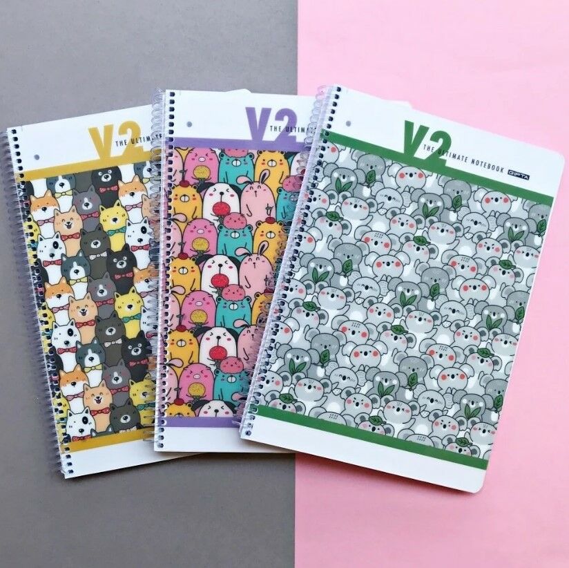 GIPTA V2 A4 100 YAPRAK ÇİZGİLİ SPİRALLİ PLASTİK KAPAKLI DEFTER