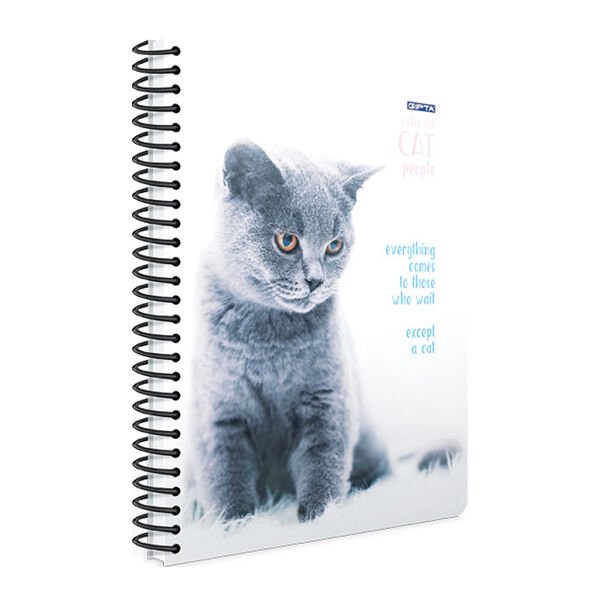 Gıpta Cat A4 100 Yaprak Kareli Spiralli Karton Kapak Defter