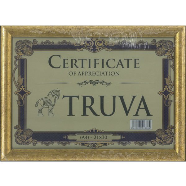 TRUVA TRV020F 21X29,7 2 CM A4 FORTUNA GOLD ÇERÇEVE