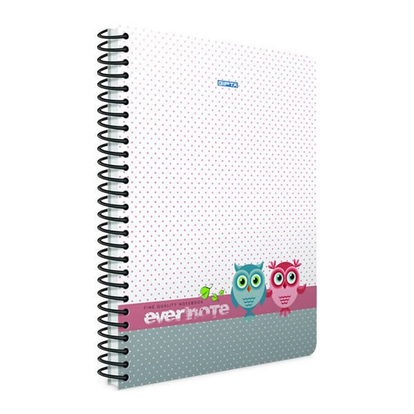 Gıpta Evernote A4 100 Yaprak Çizgili Spiralli Defter