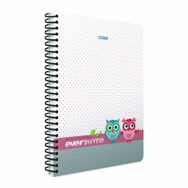 Gıpta Evernote A4 80 Yaprak Kareli Spiralli Defter