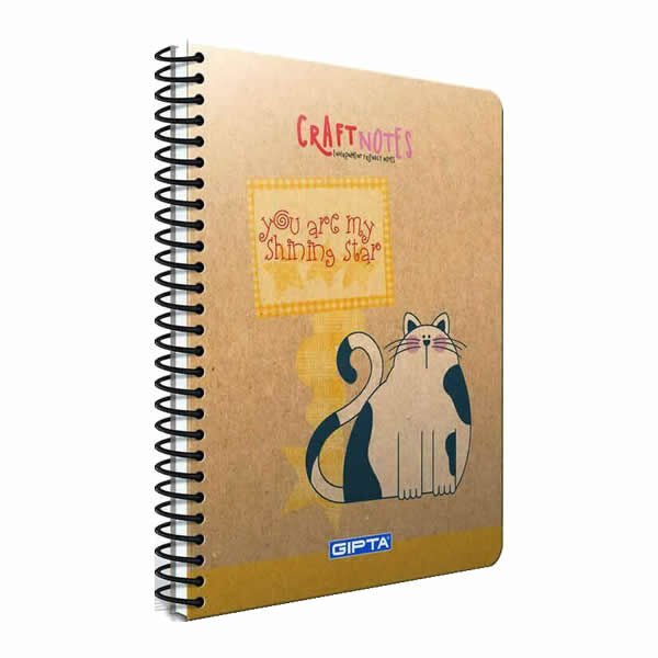 Gıpta Craft Notes 17x24 100 Yaprak Çizgili Spiralli Sert Kapaklı Defter