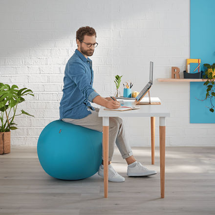 LEİTZ COSY ERGO OTURMA TOPU