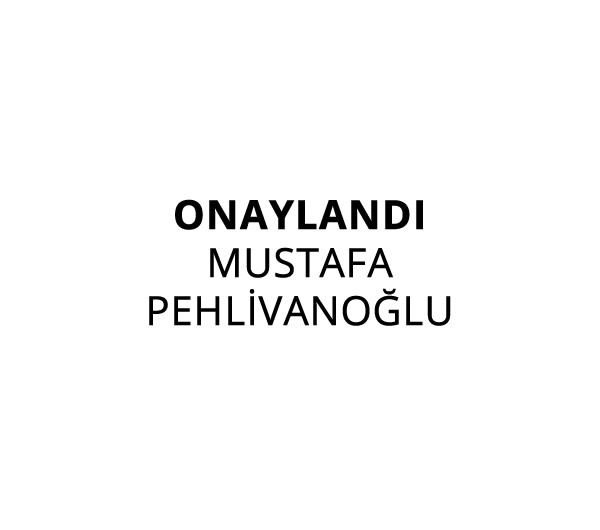 Trodat 4911 Küçük Boy Onaylandı - Yetkili Adı Boş Kaşe