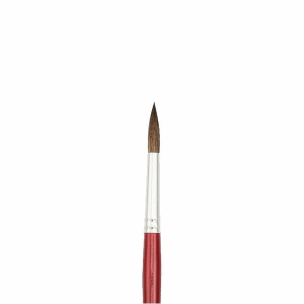 Bigpoint 145/11 Midilli Kılı Yuvarlak Fırça
