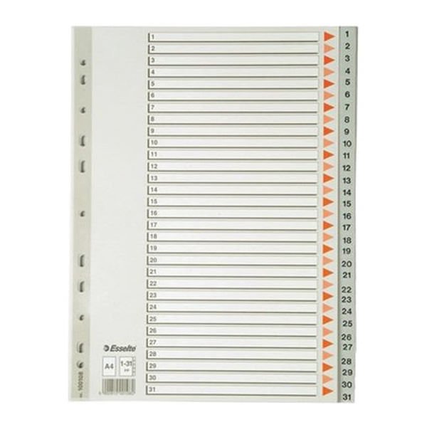 Temat 10280 A4 1-31 Rakamlı Seperatör