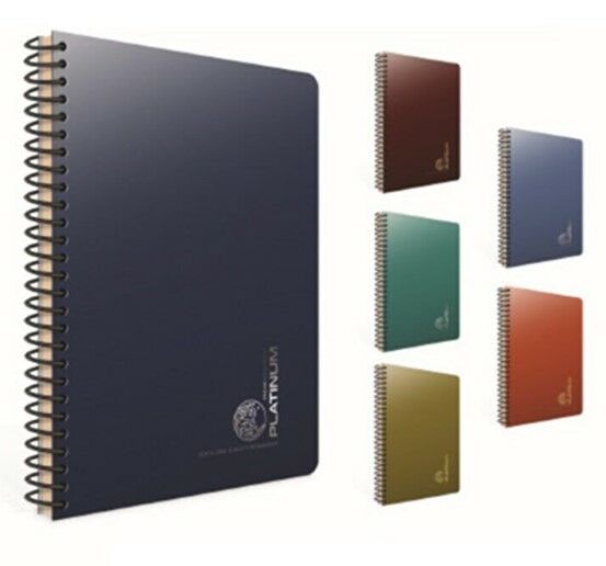 Gıpta Platinum 17x24 100 Yaprak Çizgli Plastik Kapaklı Defter