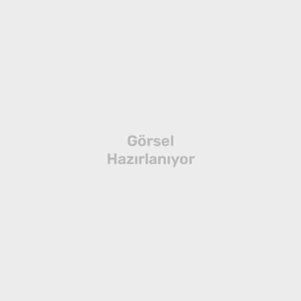 Fanart Academy Seri 258 No:20 Sert Kıl Yassı Fırça