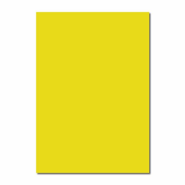 ALEX SCHOELLER 50X70 160 GR SARI FON KARTONU
