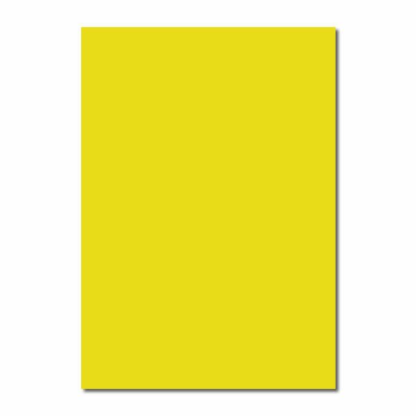 ALEX SCHOELLER 50X70 160 GR ALTIN FON KARTONU