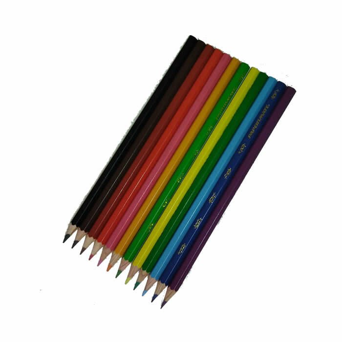 Papermate 12 li Uzun Kuruboya Kalemi