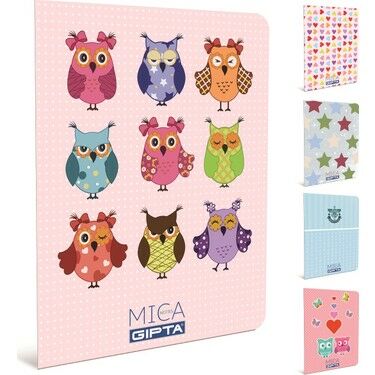 Gıpta Ofsetmica A4 100 Yaprak Çizgili Tel Dikişli Defter