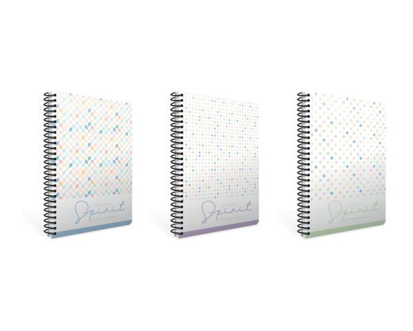 Gıpta Spirit A4 100 Yaprak Çizgili Spiralli Plastik Kapaklı Defter