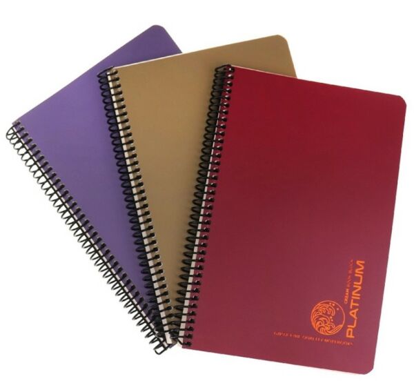 Gıpta Platinum 17x24 100 Yaprak Kareli Spiralli Plastik Kapaklı Defter