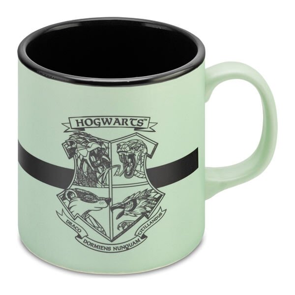 MABBELS MUG HP SLYTHERİN