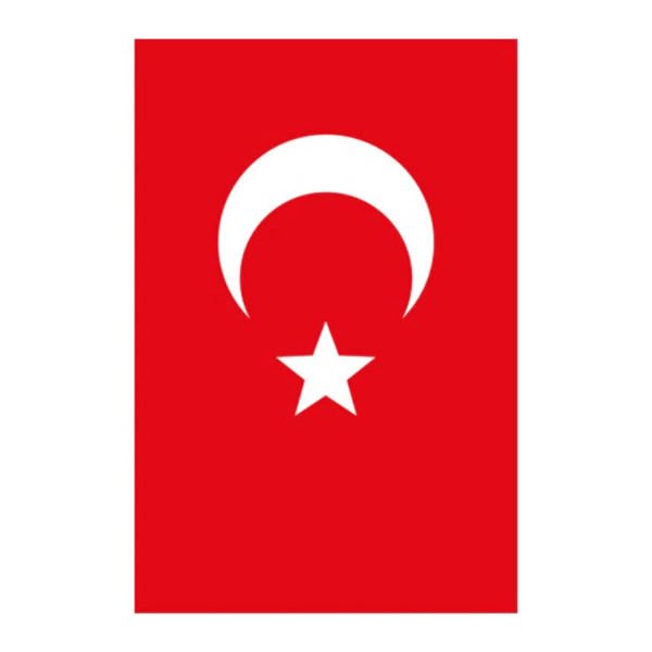Yükselen Bayrak 30x45 Türk Bayrağı