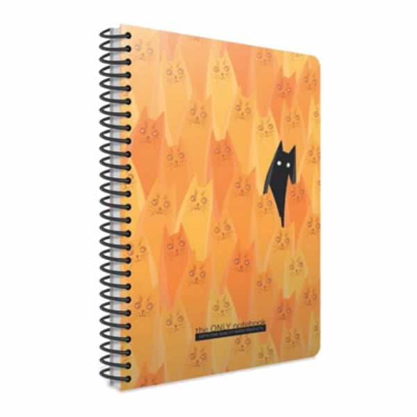 Gıpta Only Note A4 80 Yaprak Kareli Spiralli Plastik Kapaklı Defter