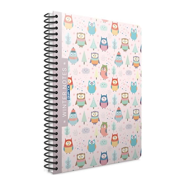 Gıpta Winter 17x24 100 Yaprak Çizgili Spiralli Plastik Kapaklı Defter
