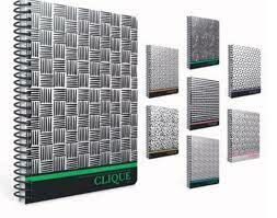 Gıpta Clique A4 100 Yaprak Kareli Spiralli Plastik Kapak Defter